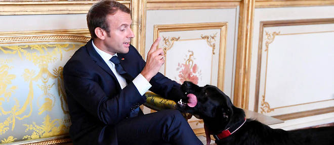Emmanuel Macron et son chien, Nemo, adopt&#233; au refuge de la SPA d'Hermeray, dont la directrice a &#233;t&#233; convoqu&#233;e &#224; un entretien pr&#233;alable &#224; licenciement.
