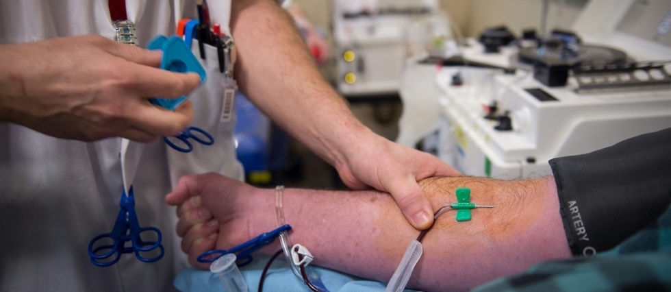 Don de plasma: plainte de lanceurs d'alerte pour mise en danger de donneurs