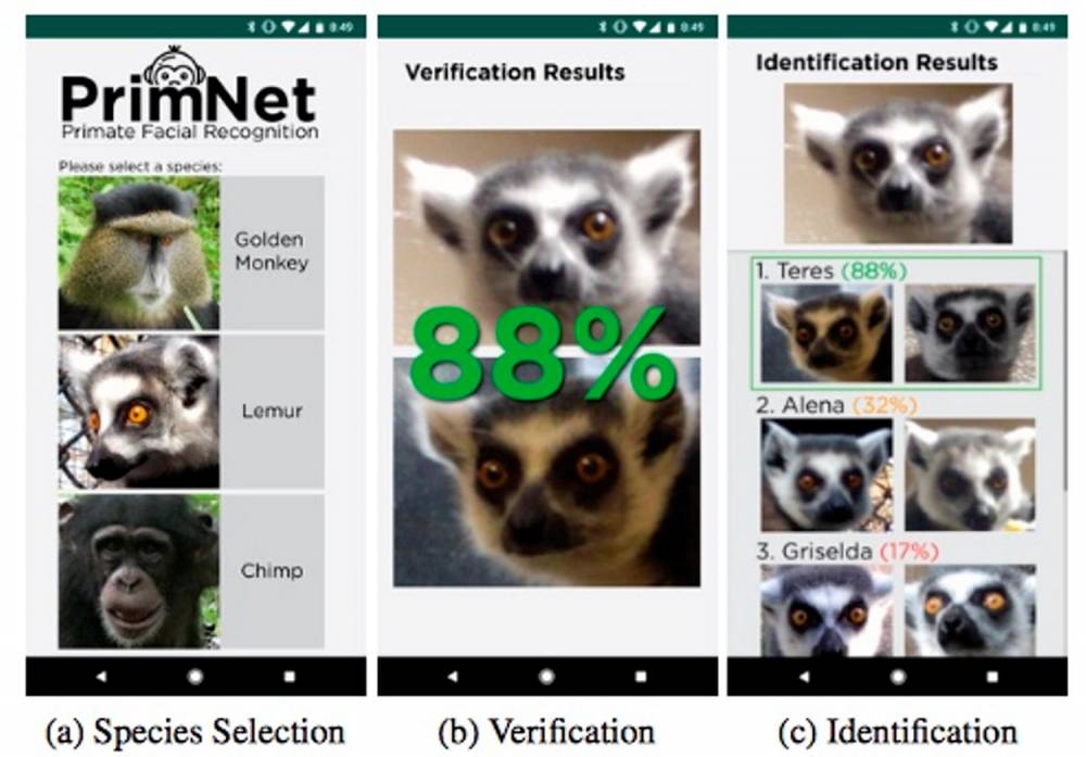 Les captures d'écran de l'application Android montrent les différentes étapes d'identification de l'animal.  © Michigan State University Michigan State University
