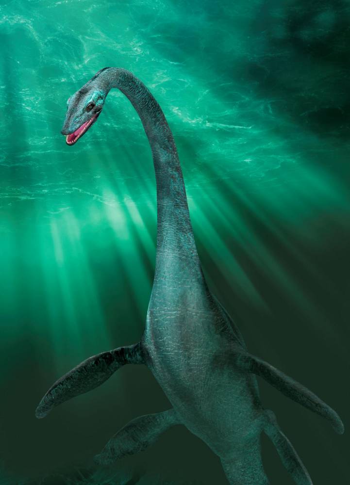Monstre Du Loch Ness Un Chercheur Va Analyser L Adn Des Eaux Du Lac