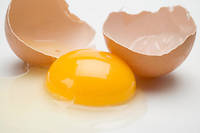  Les œufs sont riches en protéines de bonne valeur biologique, en éléments minéraux et en vitamines. Mais ils sont vulnérables, ce qui implique une grande vigilance des pouvoirs publics. 