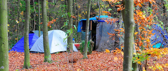 Un campement de sans-domicile fixe dans le bois de Vincennes, pres de Paris (photo d'illustration).