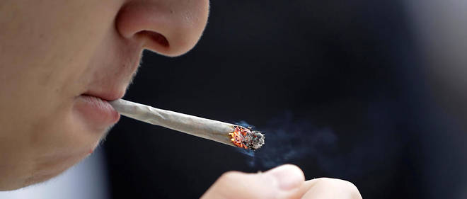 Selon les premiers resultats devoiles en fevrier, 39,1 % des jeunes interroges affirmaient avoir deja essaye le cannabis.