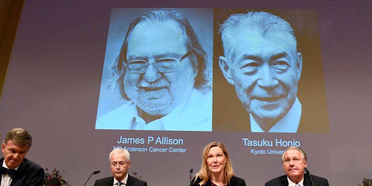 Le Nobel De Medecine A L Americain James P Allison Et Au Japonais Tasuku Honjo Le Point