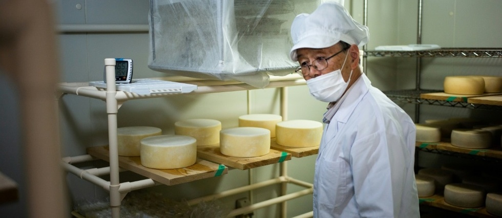 Les fromagers nippons se preparent a la concurrence europeenne