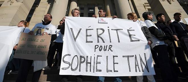 Une manifestation a eu lieu a Strasbourg pour exiger la verite sur la disparition de Sophie Le Tan.