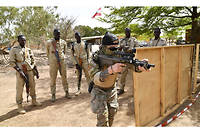 Burkina Faso&nbsp;: la guerre impitoyable aux terroristes