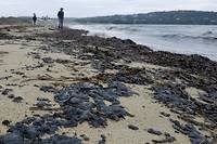 Boulettes de p&eacute;trole sur des plages de Saint-Tropez: op&eacute;ration nettoyage jeudi