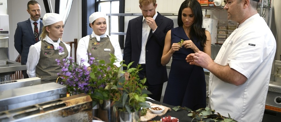 Kangourou Grillé Au Menu Pour Le Prince Harry Et Meghan à