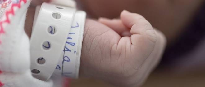 Selon une eurodeputee, l'enquete sur les naissances de bebes malformes n'est pas allee assez loin. 