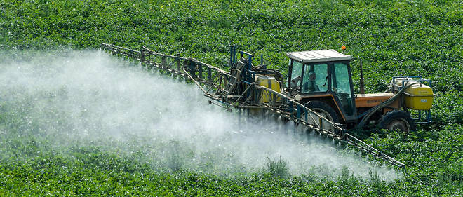 Des pesticides sont pulverises sur un champ (Photo d'illustration).