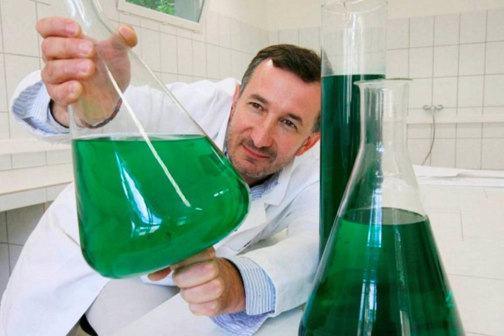 Les locaux, basés à Libourne, produisent des molécules à base de micro algues qui captent les émissions de carbone.  ©  Fermentalg