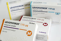  La crise du Levothyrox souligne les insuffisance du système de surveillance du médicament en France. 