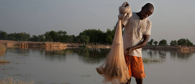 Scene de vie a Diffa, au bord de la riviere : Boulou Ousmane trie ses filets de peche.