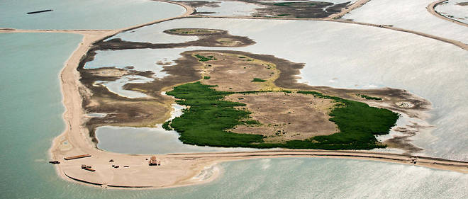 L'ecosysteme de la zone a ete bouleverse au cours des dernieres decennies, apres la construction d'une digue separant le lac de l'etendue d'eau voisine, l'Ijsselmeer.