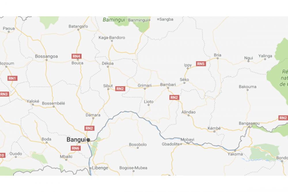 Carte de la République centrafricaine. Google map ©  Google map