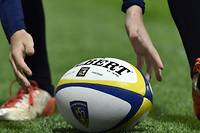 Le rugby amateur &agrave; l'&eacute;preuve des commotions c&eacute;r&eacute;brales