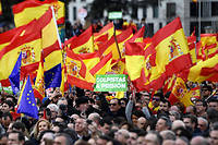 Espagne&nbsp;: la droite et l'extr&ecirc;me droite dans la rue contre Pedro Sanchez