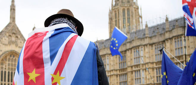 Les opposants au Brexit manifestent devant le Parlement a Westminster le 29 janvier 2019. 