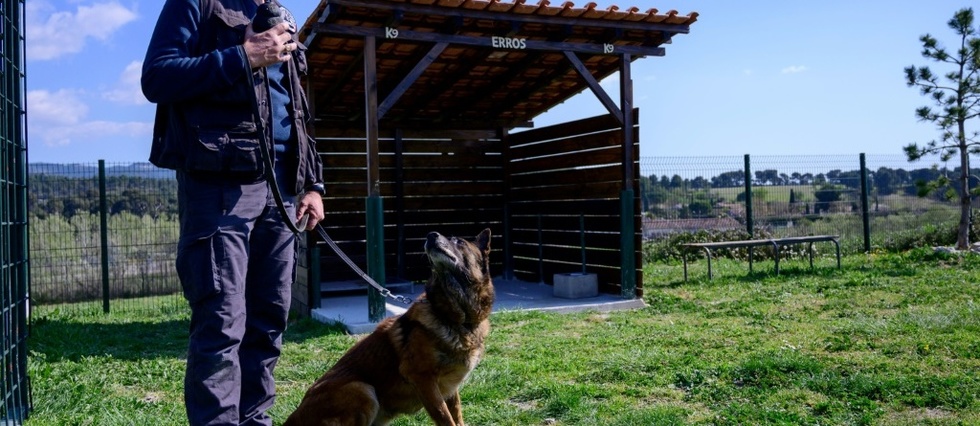 Un toit pour Erros: des policiers se mobilisent pour leurs chiens retraites