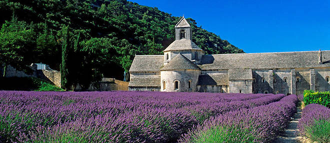 L'abbaye de Senanque, a Gordes, dans le Vaucluse. Son eglise est menacee d'effondrement.