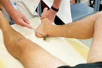  Le tendon d'Achille est l'une des parties les plus fragiles du corps. 