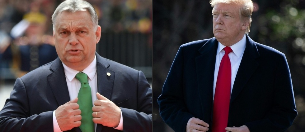 Trump recoit le Hongrois Orban malgre les critiques