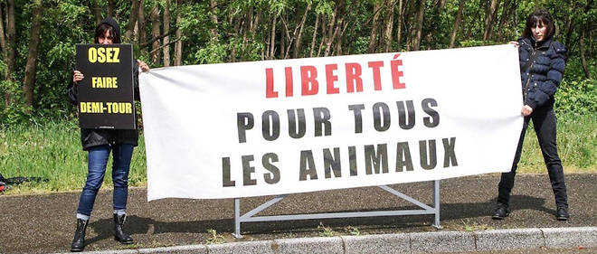 L'association 269 Life France est intervenue a Strasbourg, le 28 avril, pour protester contre l'utilisation d'animaux dans un cirque. 