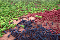  On compte environ 1 million de microbes par centimetre carre de peau humaine ! 