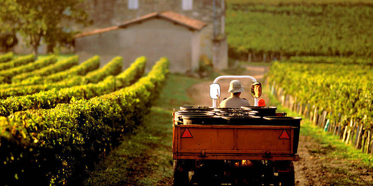 Bordeaux, millésime 2018 Satellites de saintémilion