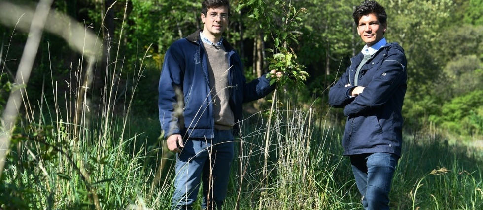 EcoTree, la start-up qui vend des arbres pour sauver les forets