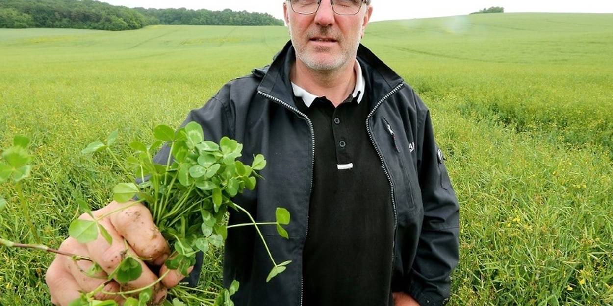 Agriculture De Conservation Quand Le Sans Labour Gagne Du Terrain Le Point