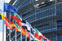 &Agrave; quoi le nouveau Parlement europ&eacute;en&thinsp;ressemble-t-il&nbsp;?