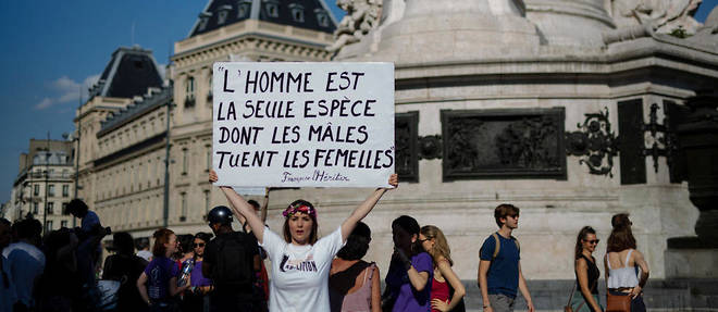 Un rassemblement a ete organise dimanche 6 juillet a Paris afin de demander des mesures contre les feminicides. 