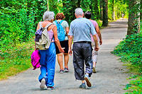  La pratique régulière d'une activité physique participe à la prévention de la maladie d'Alzheimer. 