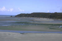  Les marees vertes souillent les cotes bretonnes depuis pres de 50 ans. En se decomposant, les algues degagent un gaz toxique... ce qui conduit desormais les autorites a en interdire l'acces. 