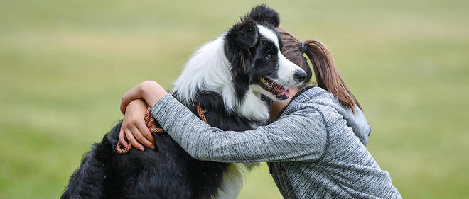 Animaux De Compagnie Attention Aux Maladies Quils Nous