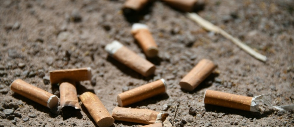Feux de foret: un maire interdit de fumer en voiture, une senatrice veut le retour des cendriers