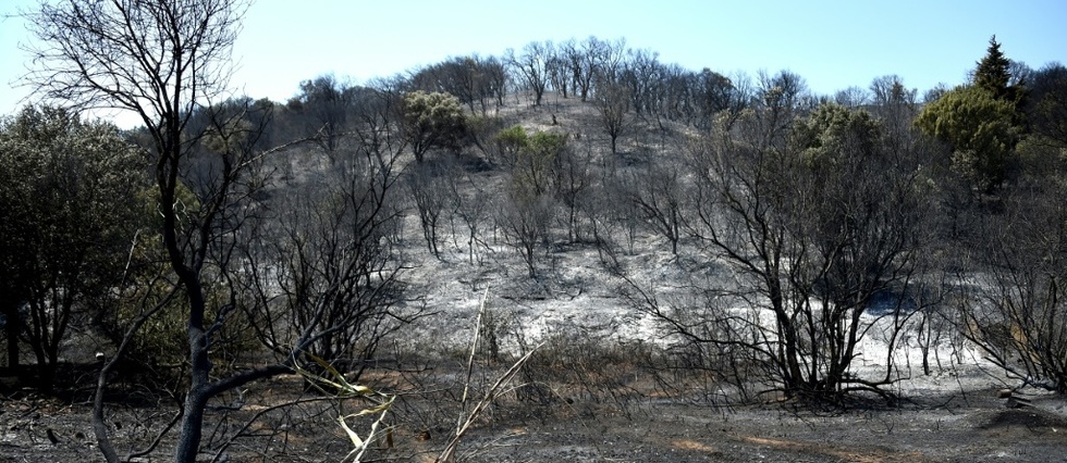 Gard: encore 130 hectares devores par le feu a Generac