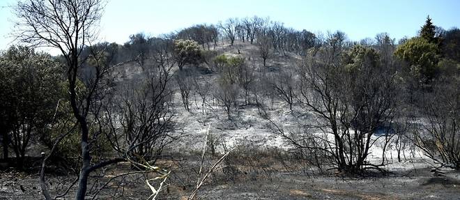 Gard: encore 130 hectares devores par le feu a Generac
