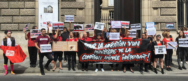 Une trentaine de manifestants se sont reunis devant le ministere de l'Agriculture lundi 19 aout pour demander notamment la creation d'un ministere dedie a la condition animale.