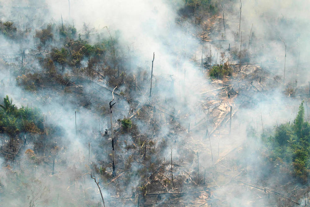 The smoke covers Amazon