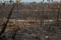 Les incendies en Amazonie progressent malgr&eacute; le d&eacute;ploiement d'avions et de soldats
