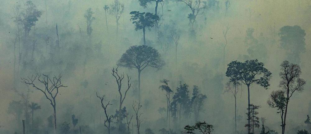 Incendie Pourquoi Lamazonie Est Elle Si Vulnérable Le - 