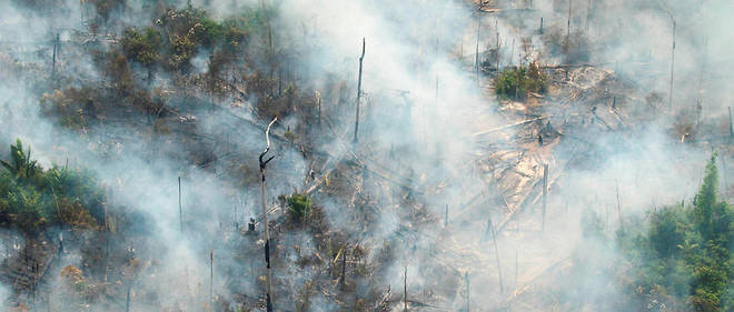 Amazonie Bolsonaro Minimise La Gravite Des Incendies Le Point