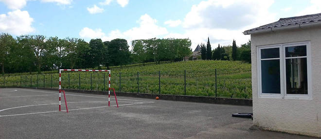 La cour de l'ecole de Villeneuve, le 13 mai 2014, entouree de vignes. Depuis, les agriculteurs font plus attention et previennent les riverains de leurs operations d'epandage.