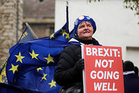  Une manifestante opposée au Brexit tient une pancarte devant le Parlement le 13 mars dernier à Londres. 