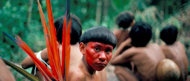 Un Yanomamo apprete pour une celebration au Bresil. Chagnon decouvre que jusqu'a 30 % des hommes sont tues par leurs congeneres et montre que les tueurs ont trois fois plus d'enfants et deux fois plus d'epouses que les autres.