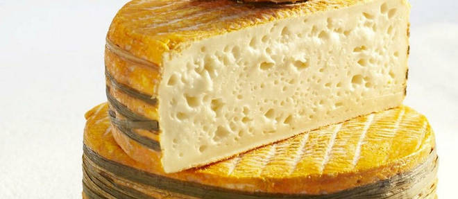 Accords Fromage à Croûte Lavée Le Goût Et Lodeur 