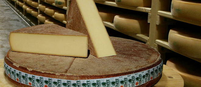 Accords : quels vins blancs avec vos fromages a pate pressee cuite ?